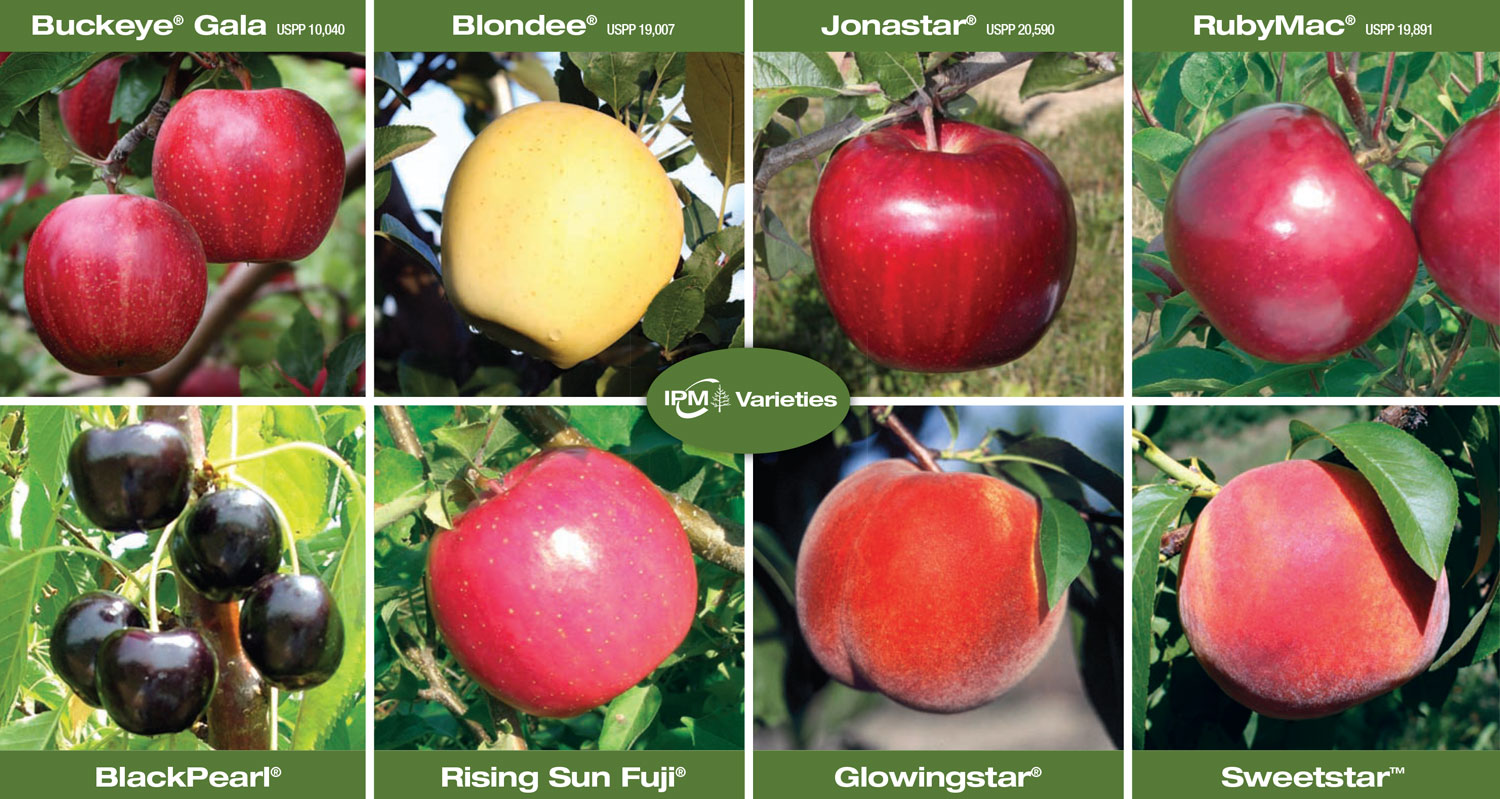 varieties